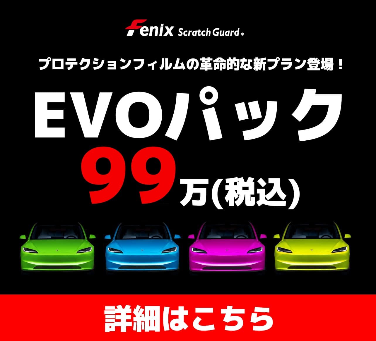 Fenix ScratchGuardプロテクションフィルムイメージ